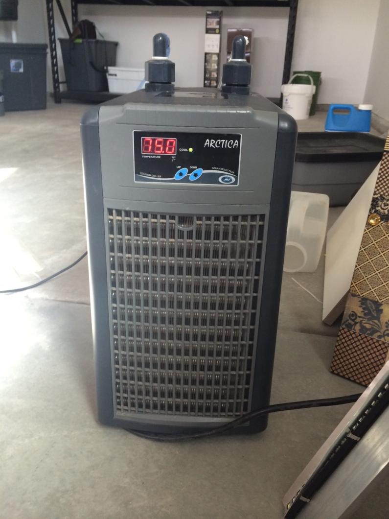 chiller001.jpg