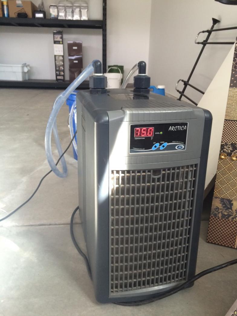 Chiller002.jpg