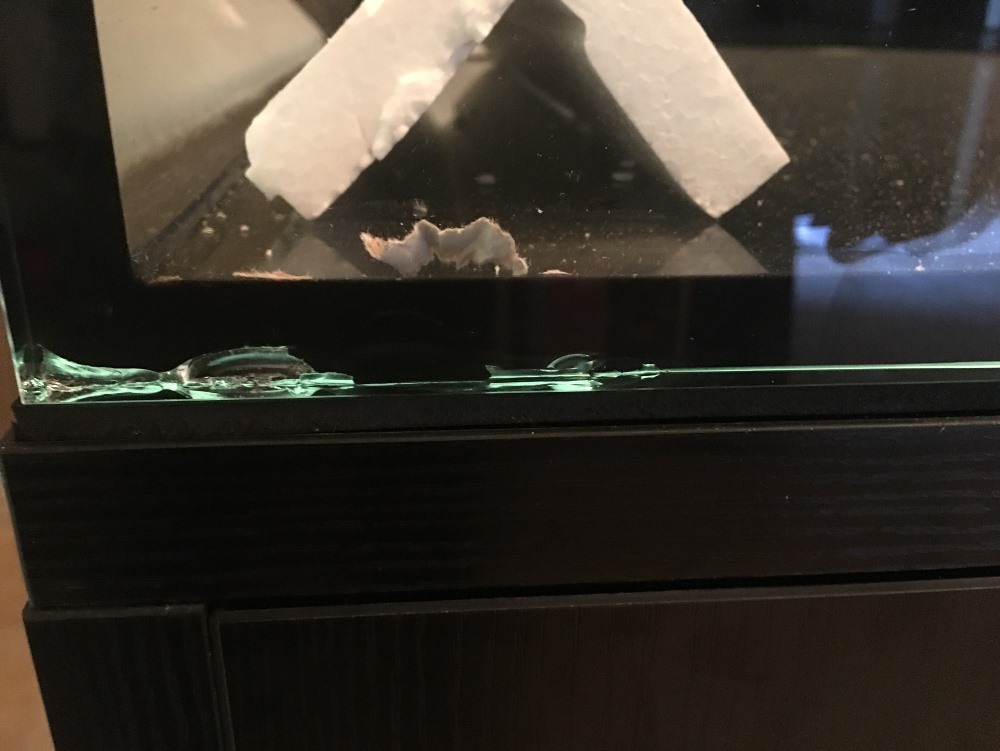 New tank chipped | Reef2Reef
