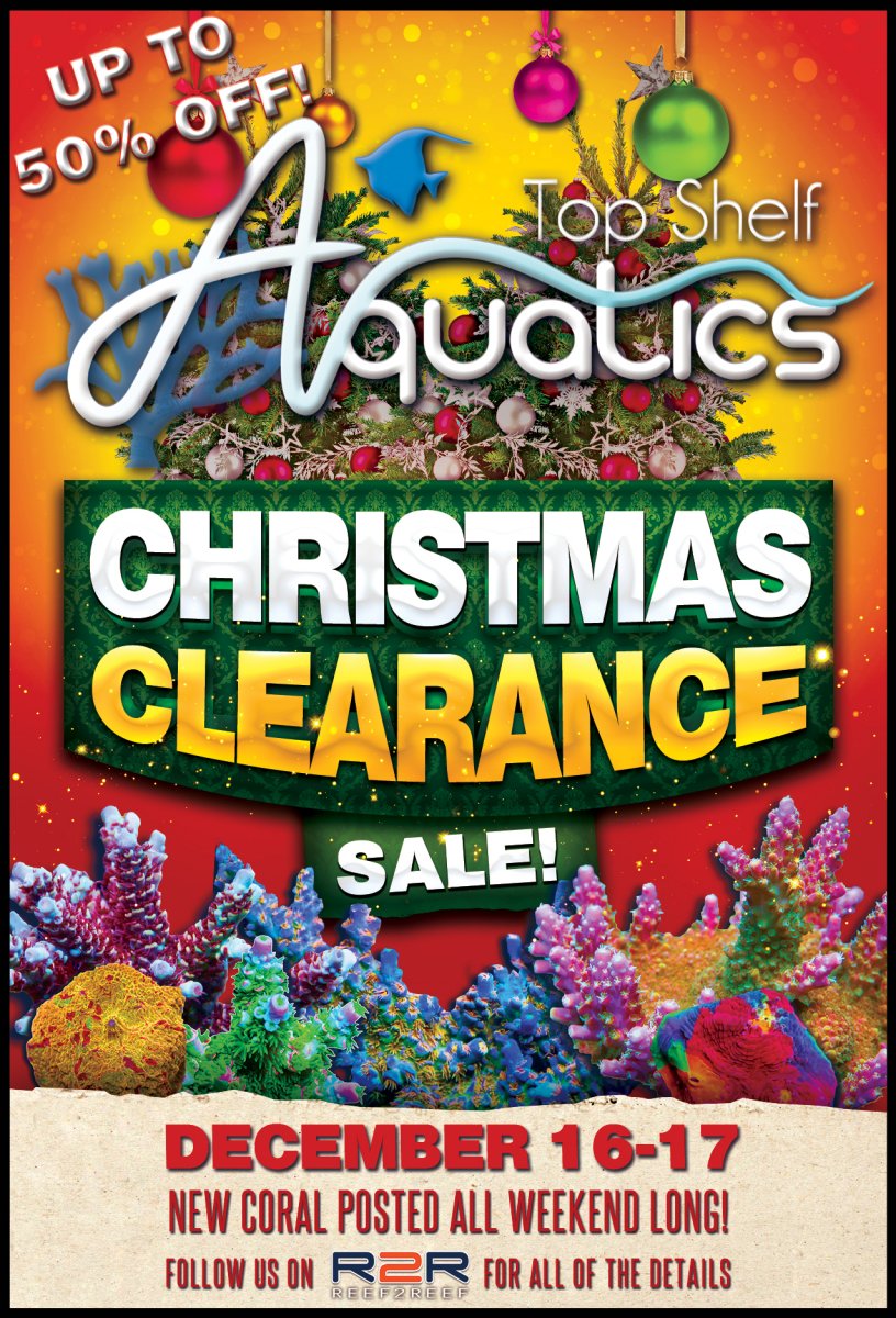 Christmas Clearance Sale Final.jpg
