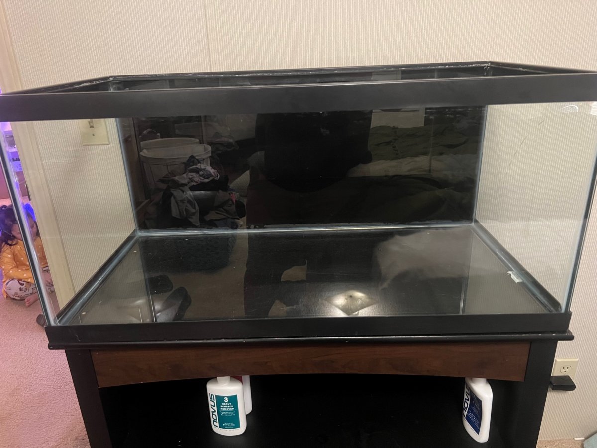 clean tank.jpg