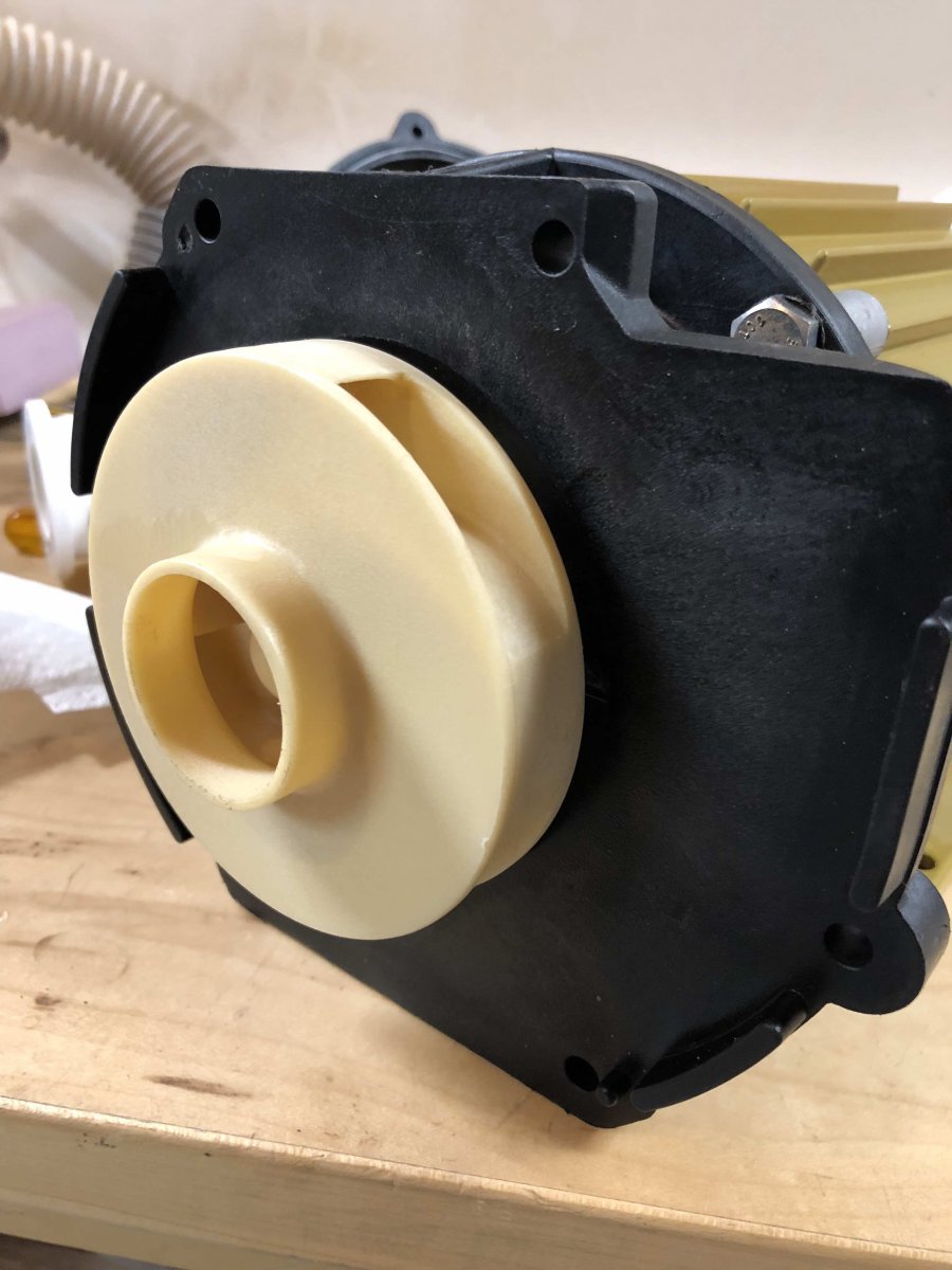 cleaned impeller .jpg