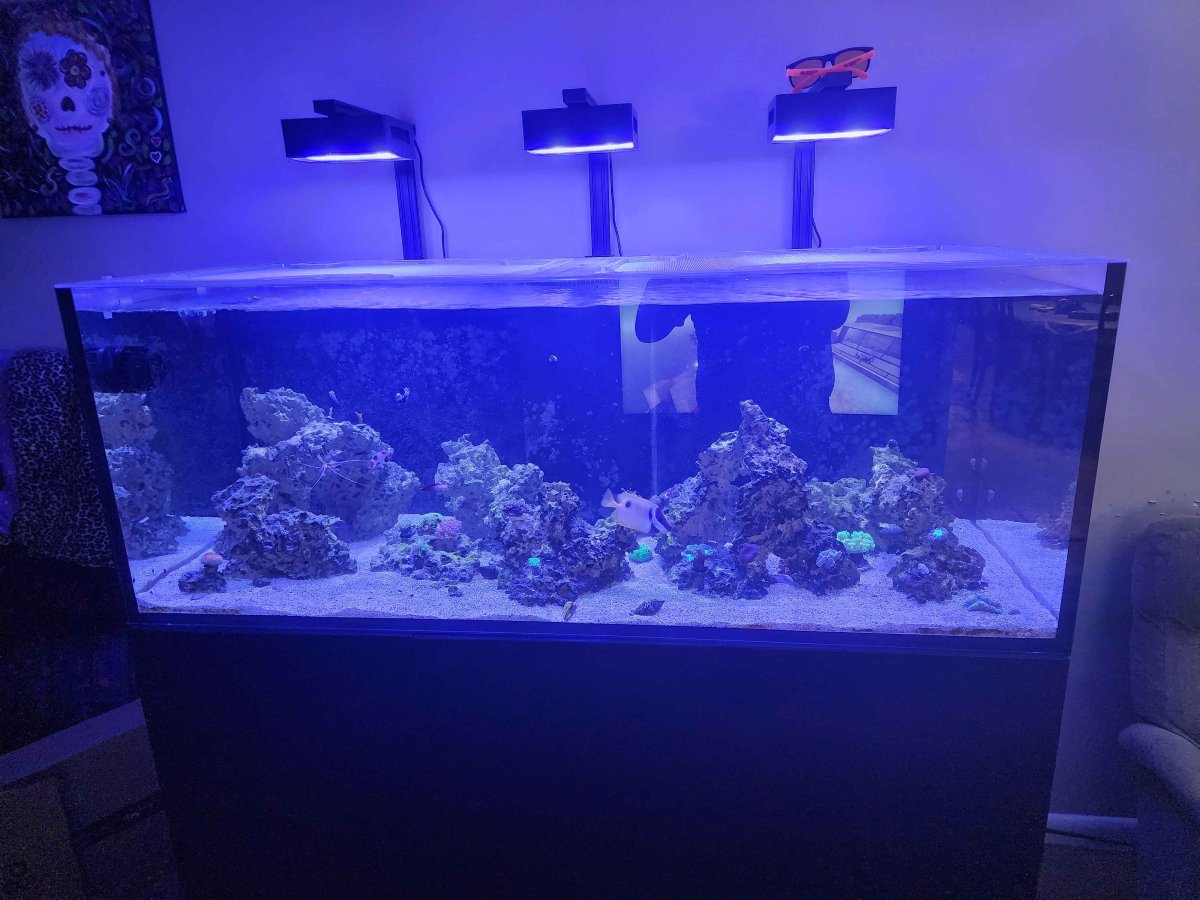 cleanfts.jpg