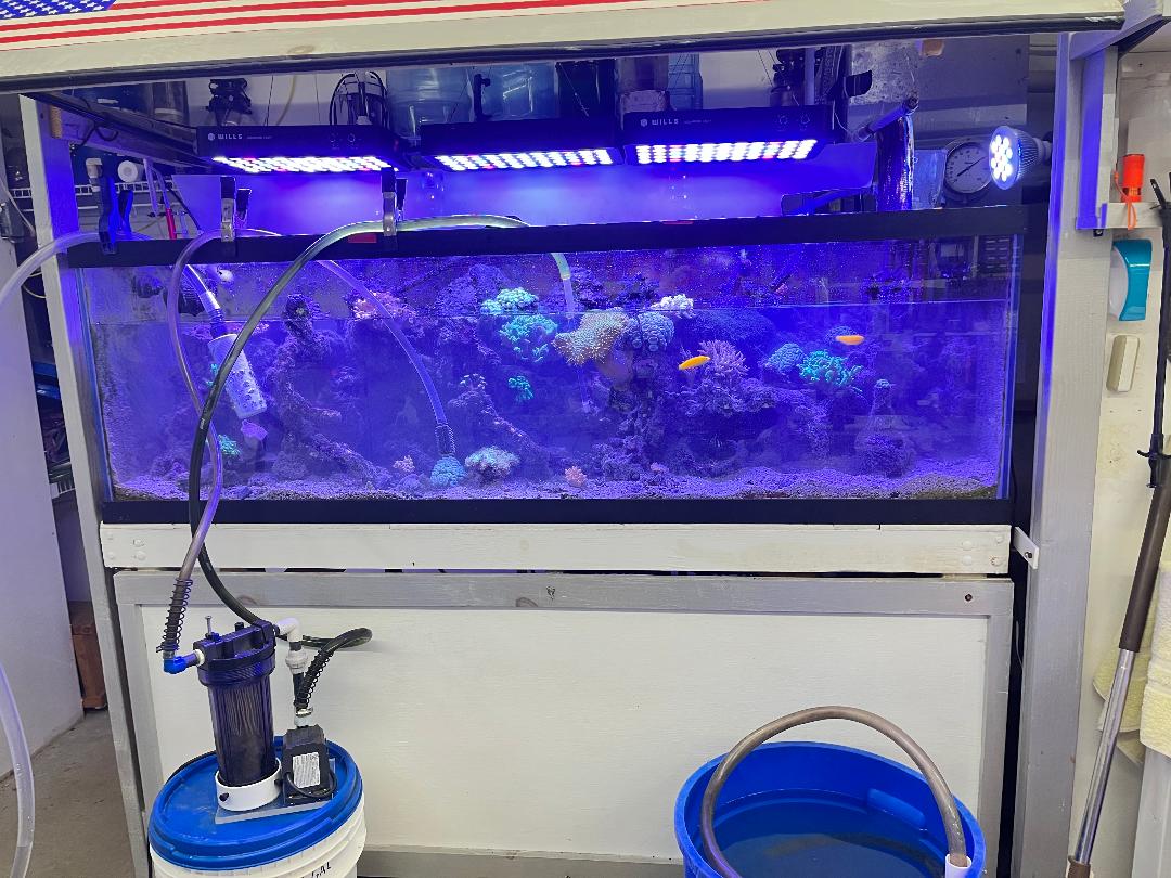 Cleaning tank.jpg