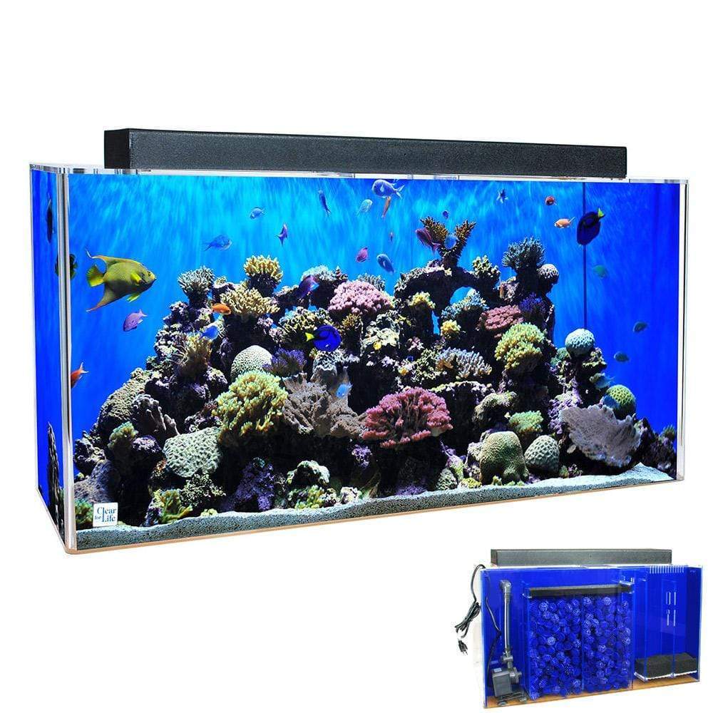 clear-for-life-rectangle-uniquarium-3-in-1-acrylic-aquarium-20-90-gallons-14777435095142_1000x.jpg