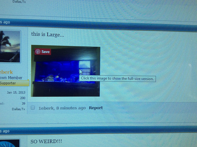 click.jpg