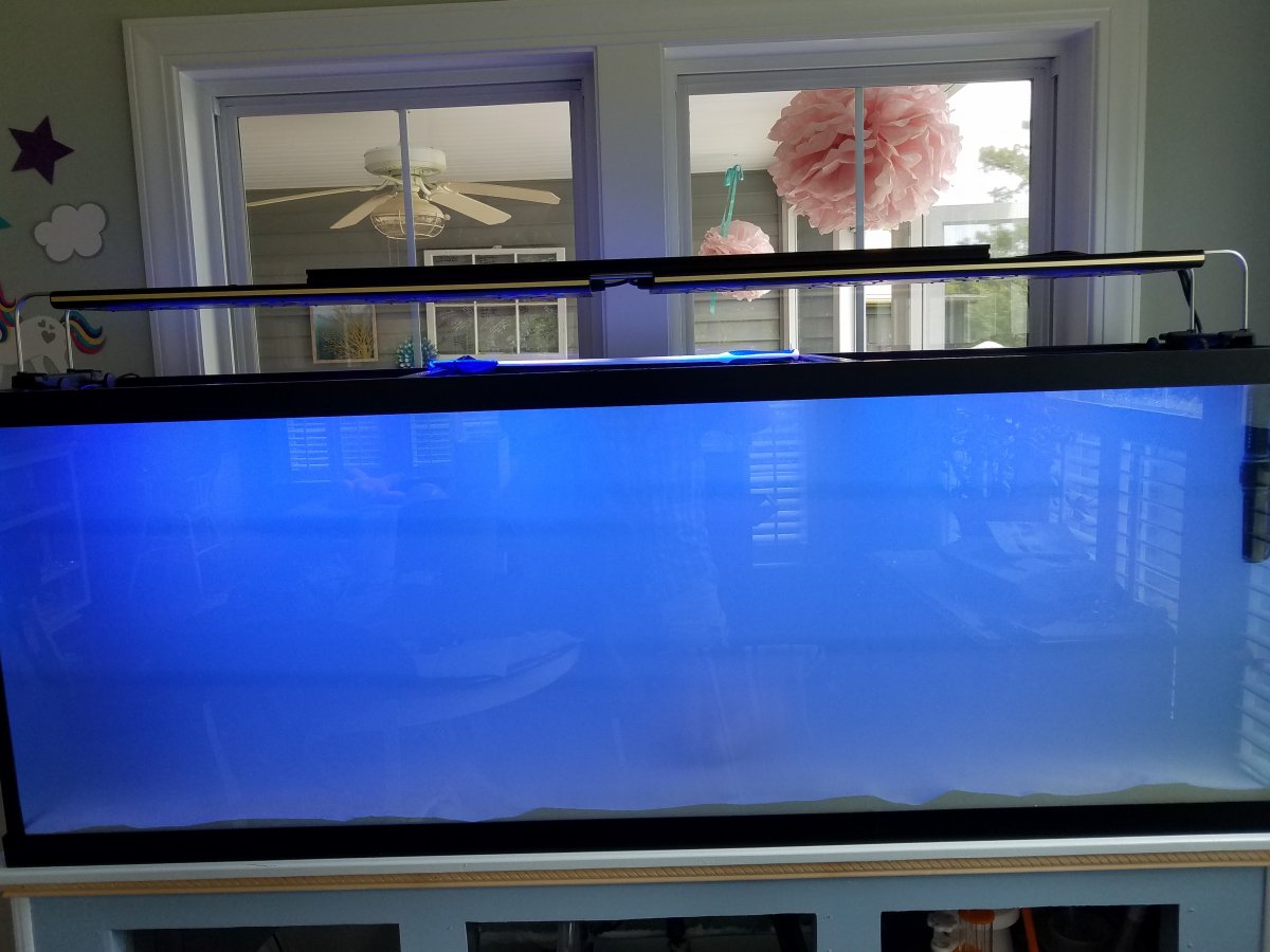 Cloudy_Tank_1.jpg