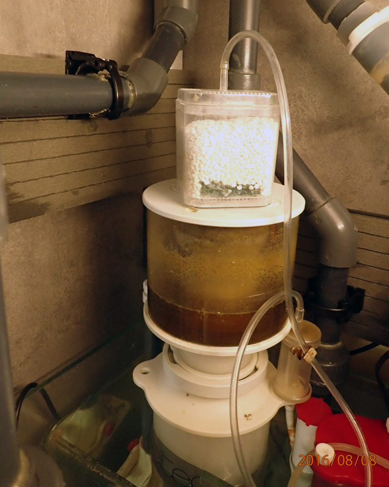 co2-4.jpg