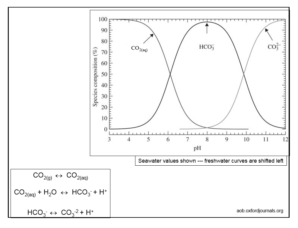 CO2pHAlk.PNG