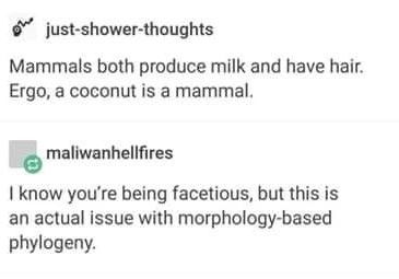 Coconuts-are-Mammals-A-Thread_0-l.jpg