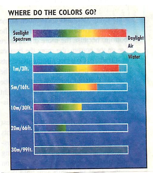 Color Loss Spectrum.jpg