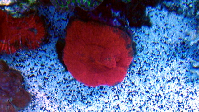 ColorTouch-1364404219581.jpeg