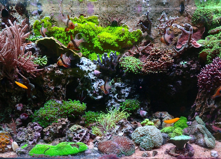colour-2.jpg