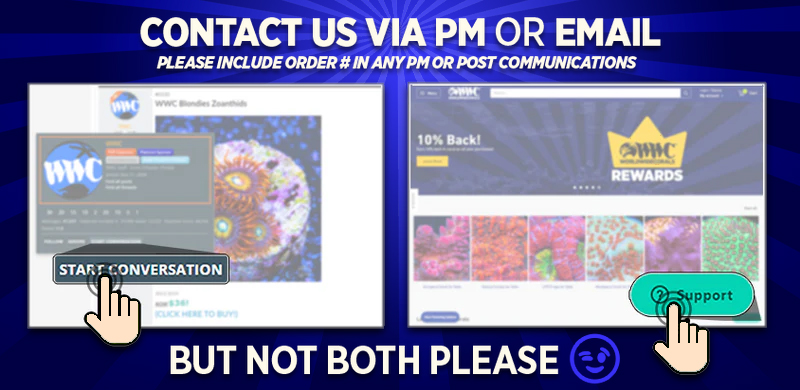 contact.jpg