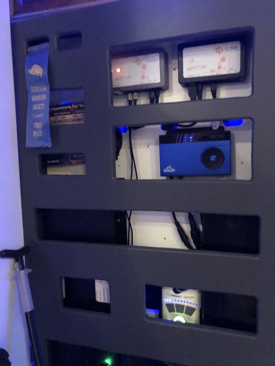 control1.jpg