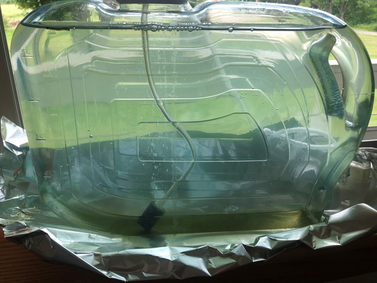 copepod farm.jpg