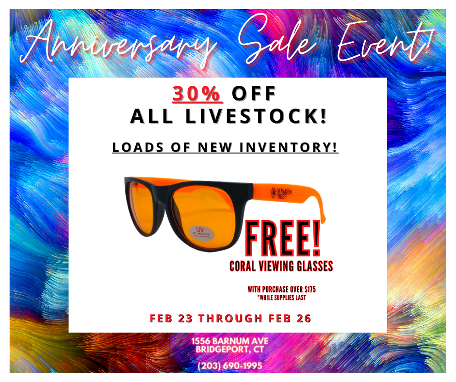 Copy of Annual Anniversary Sale.png