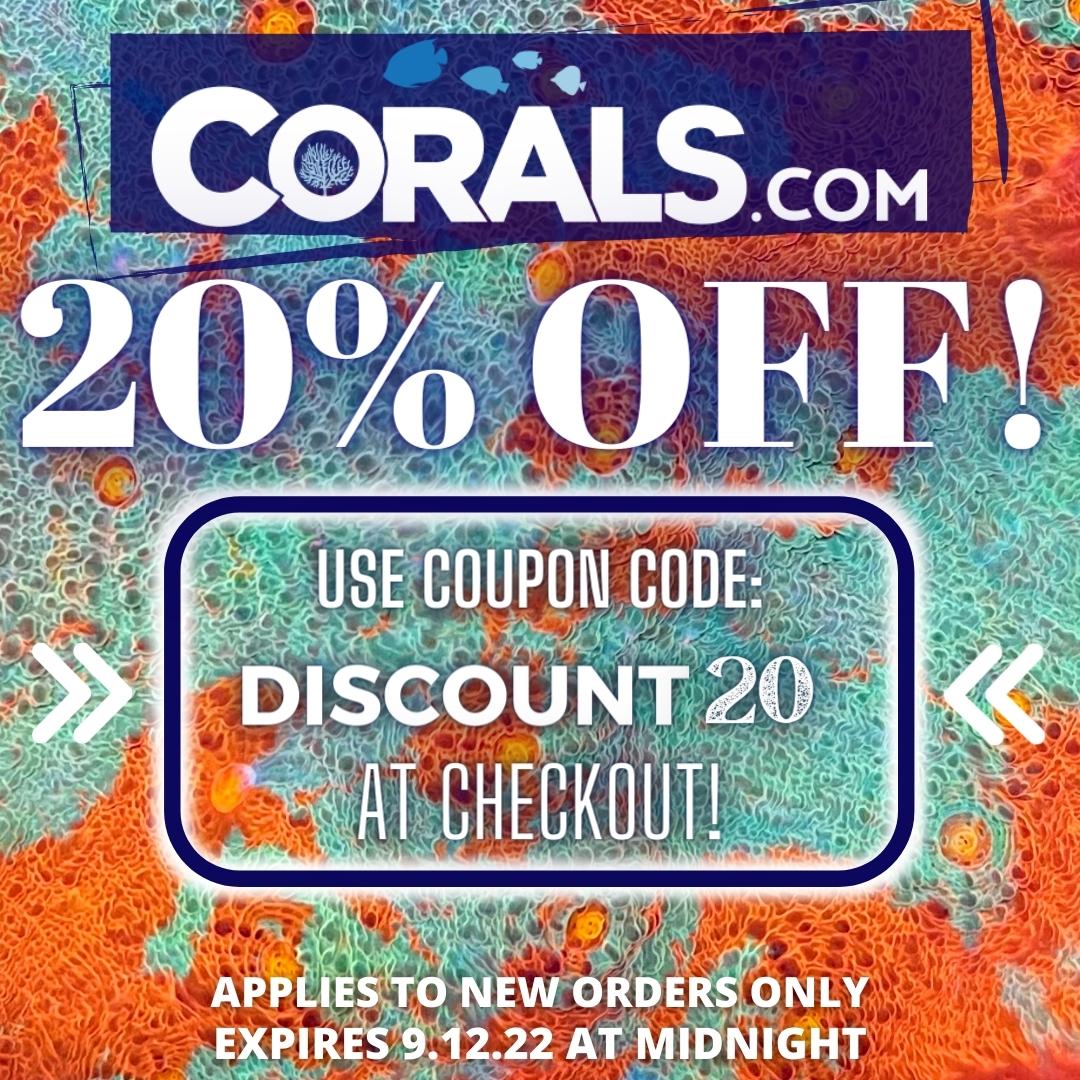 Rack room coupons 219 deals