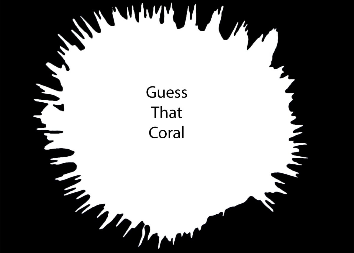 Coral 8.png