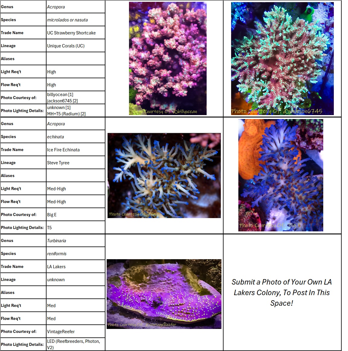 Coral Database Pg 13.jpg