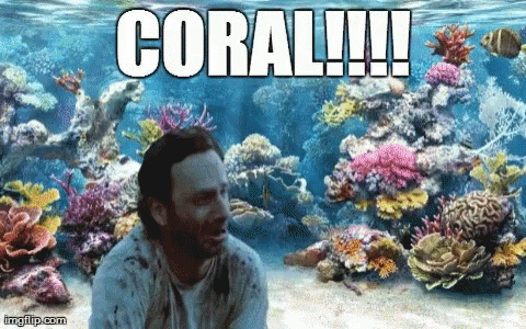 coral.gif