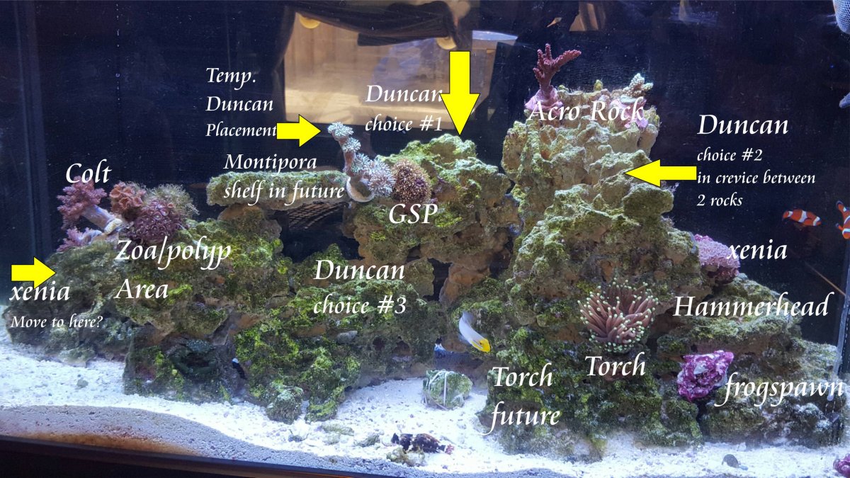 coral map low res.jpg
