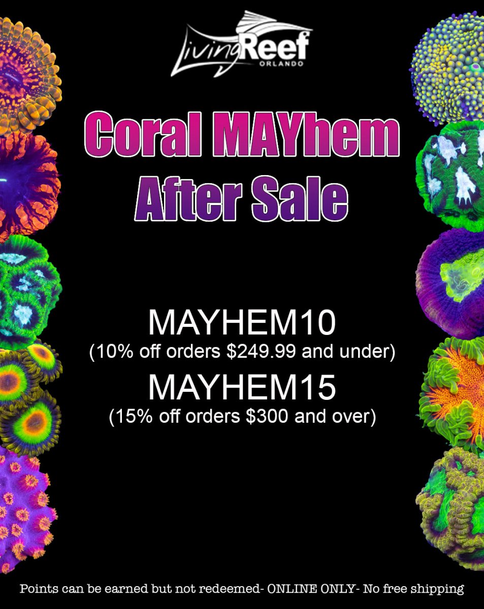 coral mayhem social media (1) copy.jpg