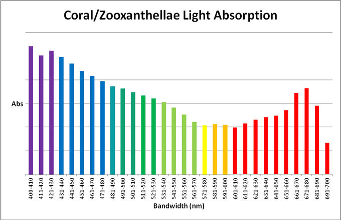 Coral zooanthellae light absorption.png