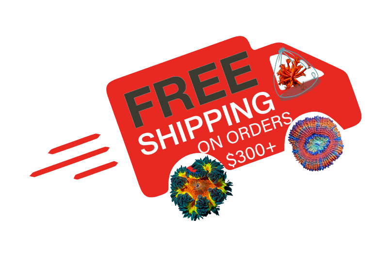 Coralmobile free shipping copy.png