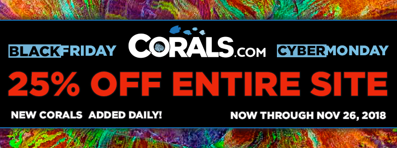 Corals black_friday_800x300.jpg