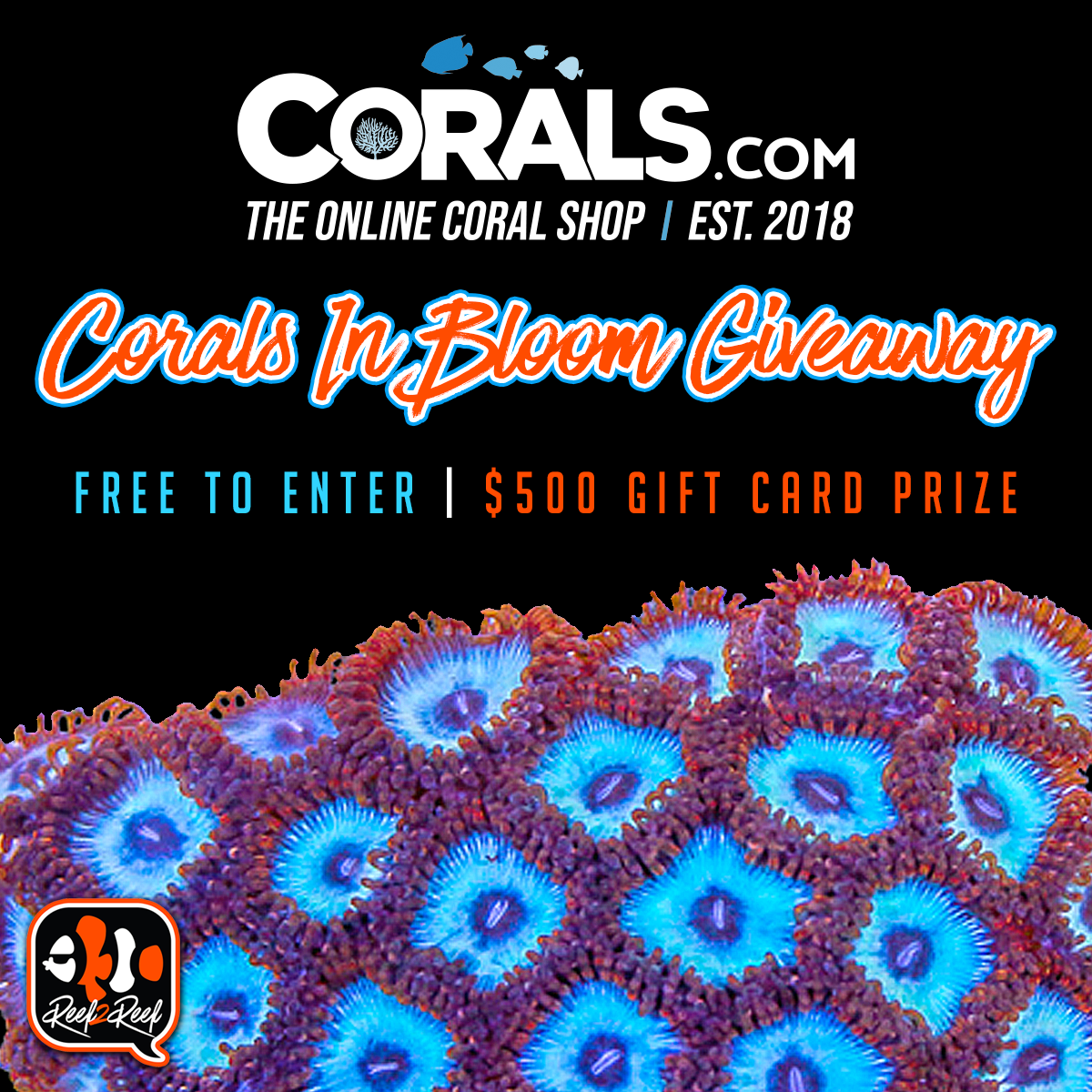 Corals.com Giveaway2 copy.png