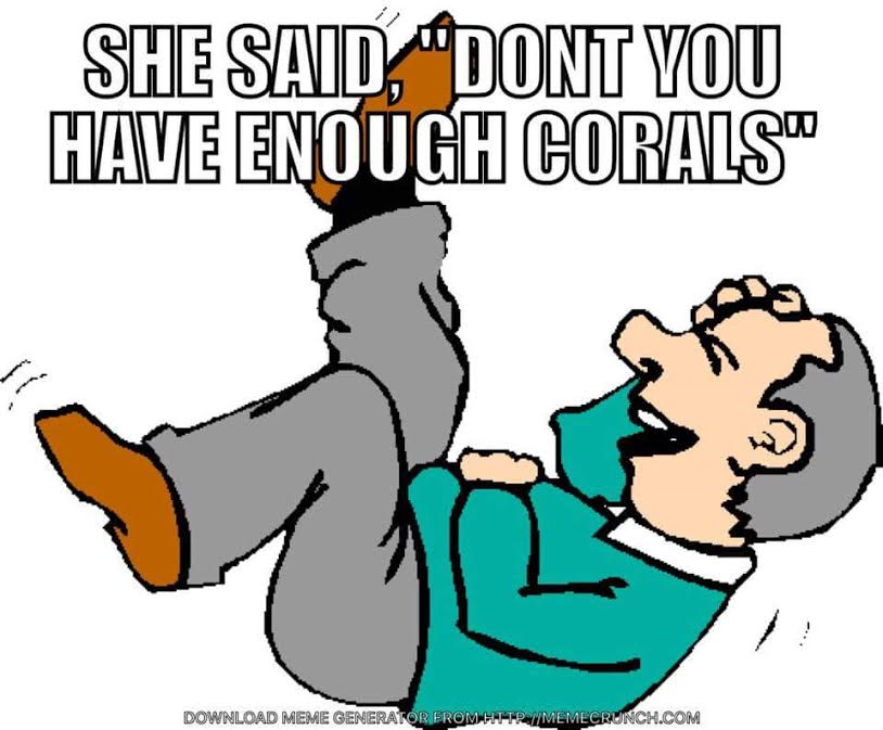 corals.png