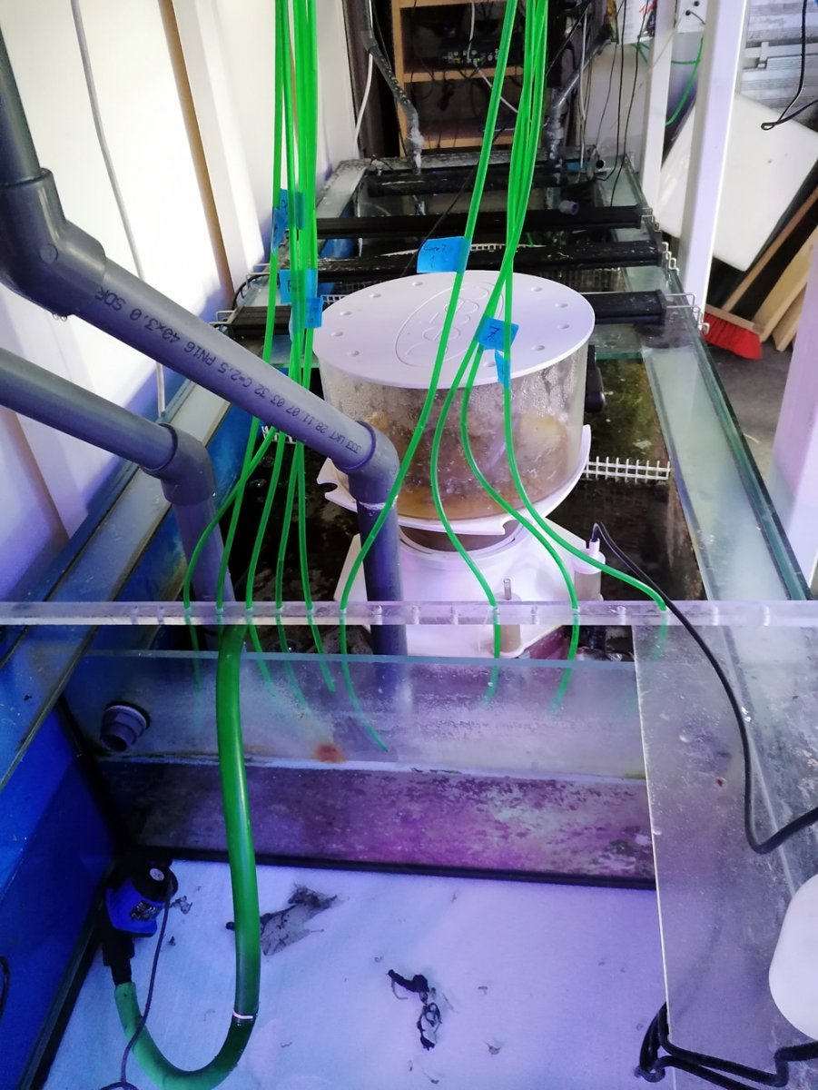 cp-sump-2.jpg