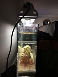 CPR backpack Hang on refugium (size Lg).....Very clean | Reef2Reef