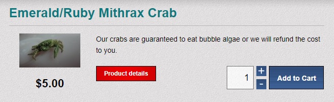 crab.jpeg