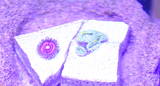 crop circle.jpg