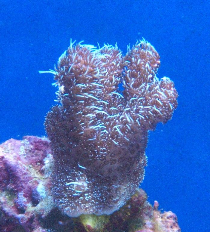 CRW_9585.jpg