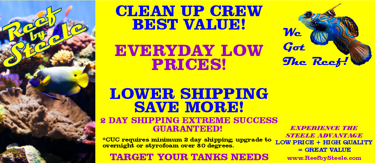 CUC VALUE Thread Ad.png