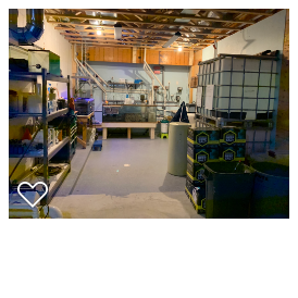 current fish room.png