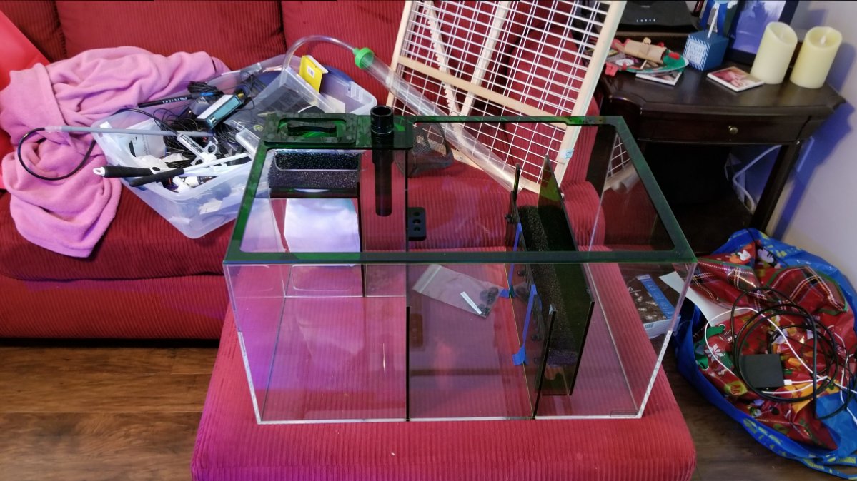 Current Sump (1).jpg