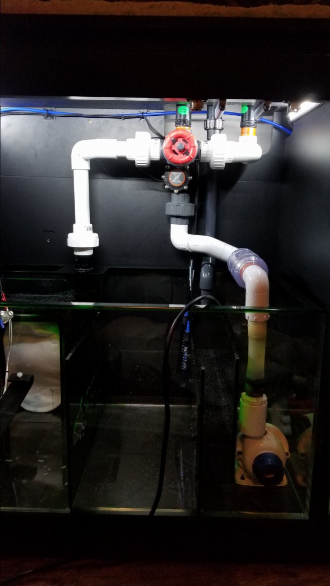 Current Sump (3).jpg