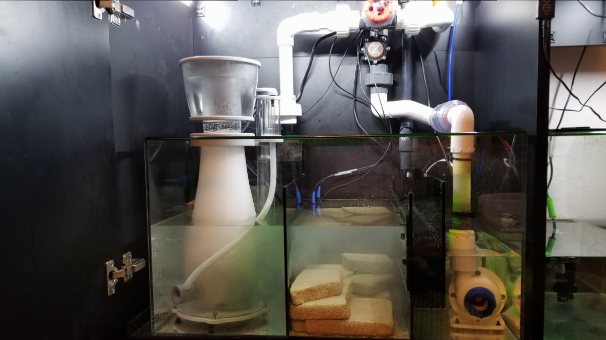 Current Sump (4).jpg