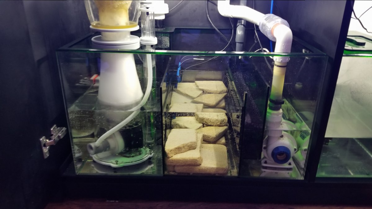 Current Sump (5).jpg