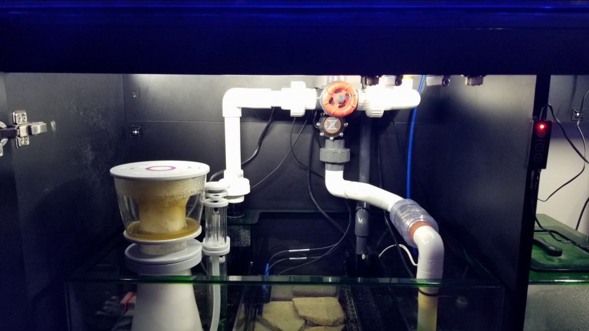Current Sump (6).jpg