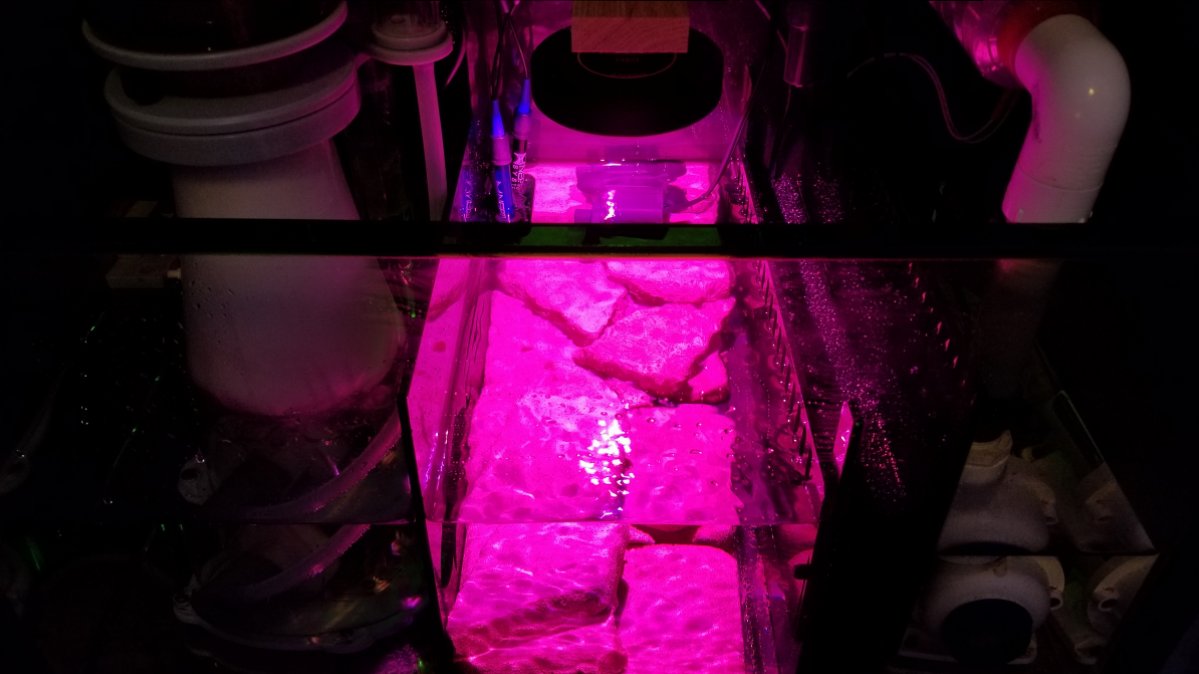 Current Sump (7).jpg