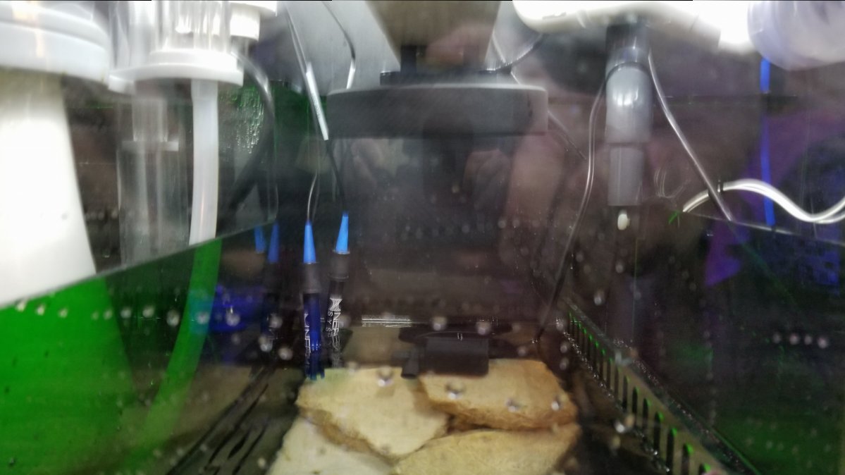 Current Sump (9).jpg