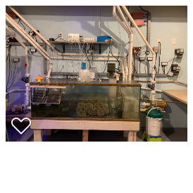 current sump.png