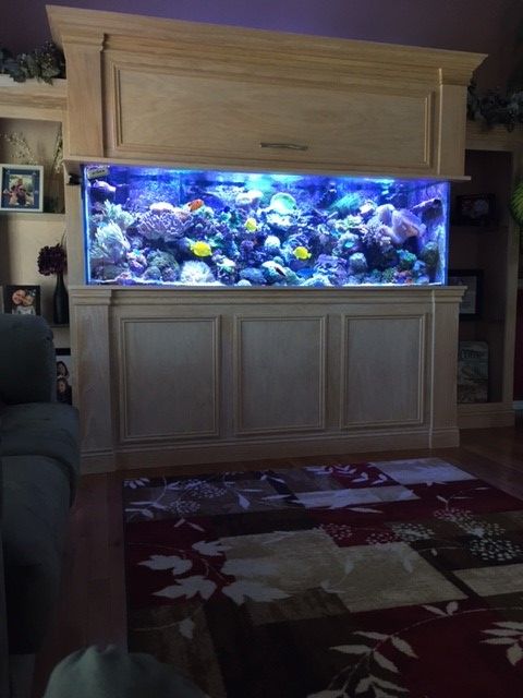 current tank pic updated view.jpg
