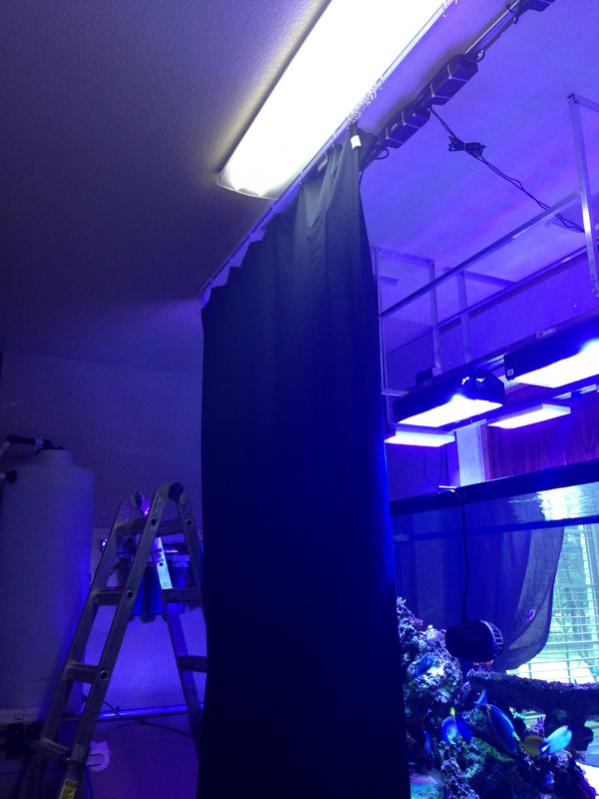 curtain1.jpg