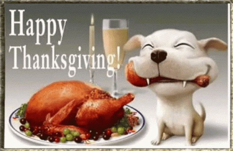cute-thanksgiving-dog-celebrate-8xslsbnzakg03swl.gif